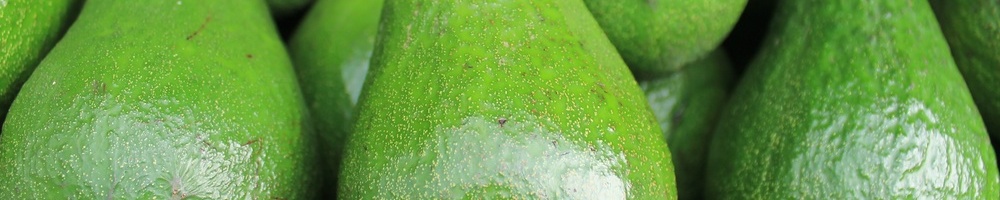 intralytx bacteriophage and food safety