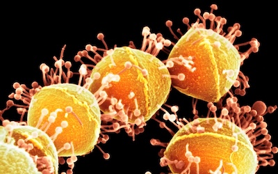 bacteriophage depiction