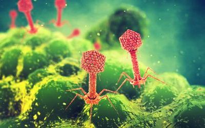 bacteriophage depiction bacteriophage depiction