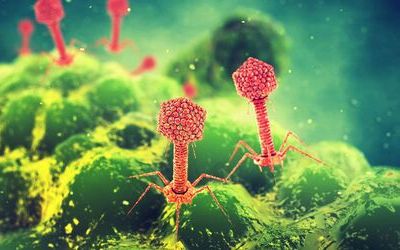 bacteriophage depiction