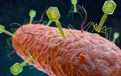 bacteriophage depiction